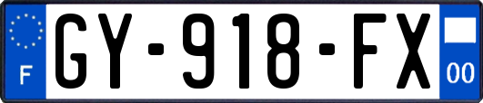 GY-918-FX