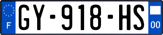 GY-918-HS