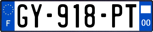 GY-918-PT