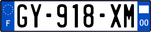 GY-918-XM