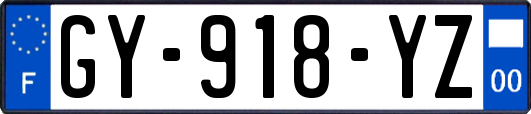 GY-918-YZ