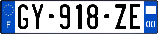 GY-918-ZE