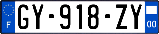 GY-918-ZY
