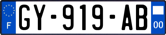 GY-919-AB