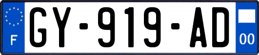 GY-919-AD