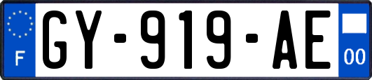 GY-919-AE