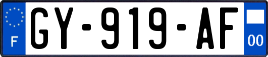 GY-919-AF