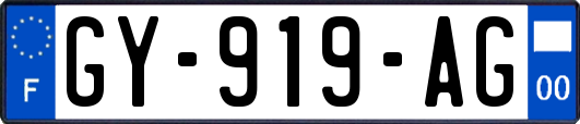 GY-919-AG