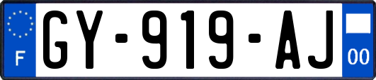 GY-919-AJ