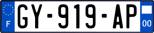 GY-919-AP