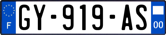 GY-919-AS
