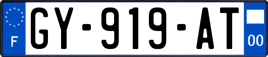 GY-919-AT