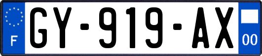 GY-919-AX