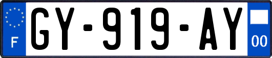 GY-919-AY