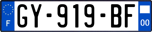 GY-919-BF