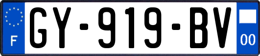 GY-919-BV