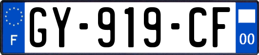 GY-919-CF
