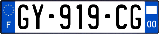 GY-919-CG