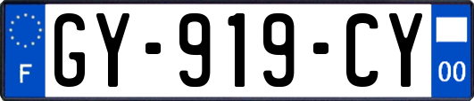 GY-919-CY
