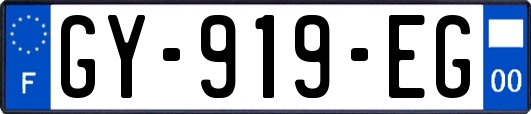GY-919-EG