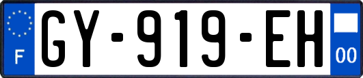 GY-919-EH