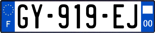 GY-919-EJ