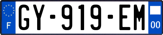 GY-919-EM