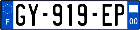 GY-919-EP