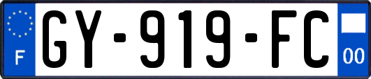GY-919-FC