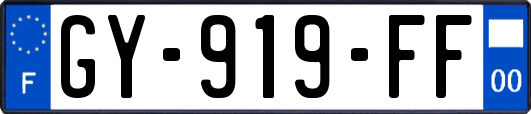 GY-919-FF