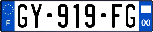 GY-919-FG