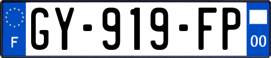 GY-919-FP