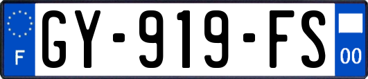 GY-919-FS