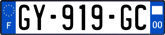GY-919-GC