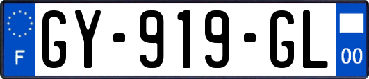 GY-919-GL