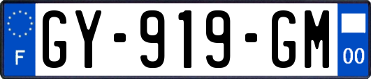 GY-919-GM