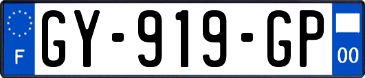 GY-919-GP