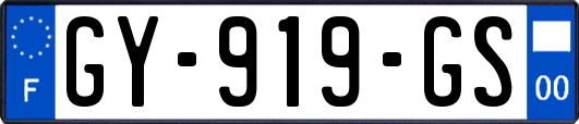 GY-919-GS