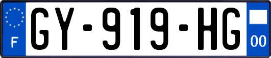 GY-919-HG