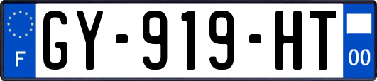 GY-919-HT