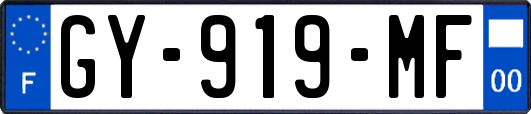 GY-919-MF