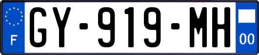 GY-919-MH