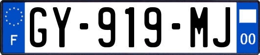 GY-919-MJ