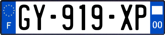 GY-919-XP