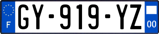 GY-919-YZ