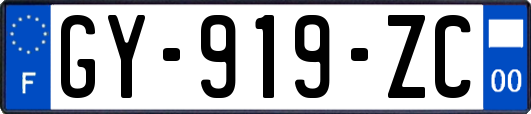 GY-919-ZC