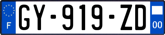GY-919-ZD