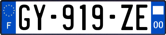 GY-919-ZE