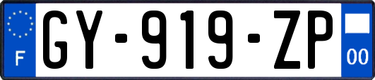 GY-919-ZP