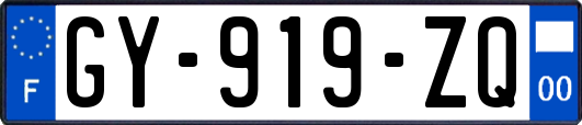 GY-919-ZQ